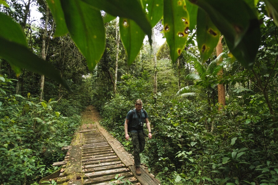 Rainforest Adventure road trip to the upper Tambopata