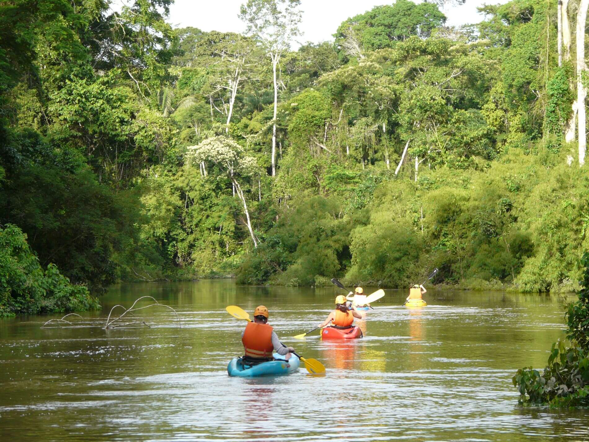Tours Amazonia