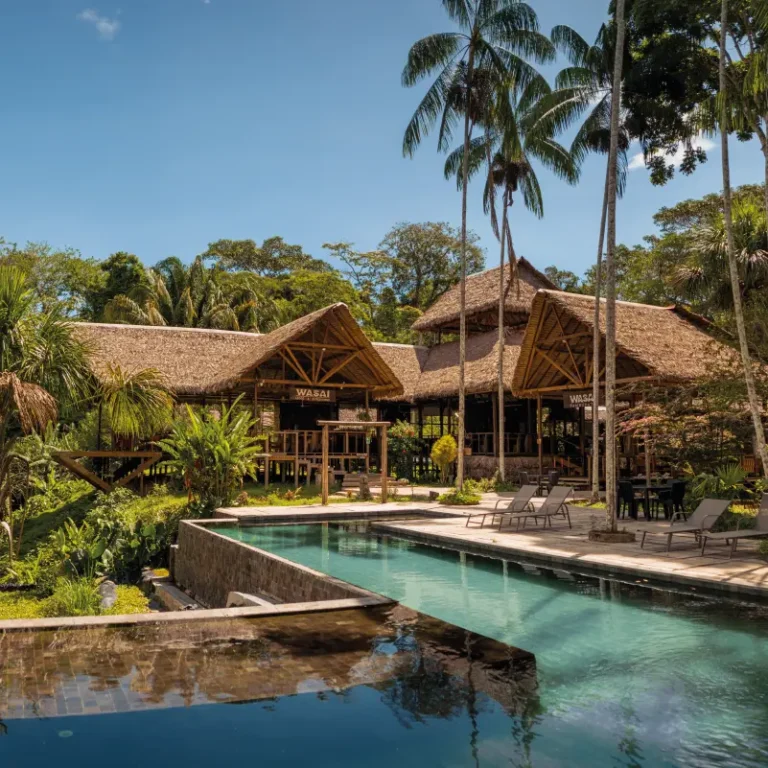 Tambopata Amazon tours at Wasai Lodge in the Peruvian rainforest