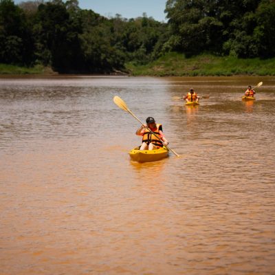 Kayak